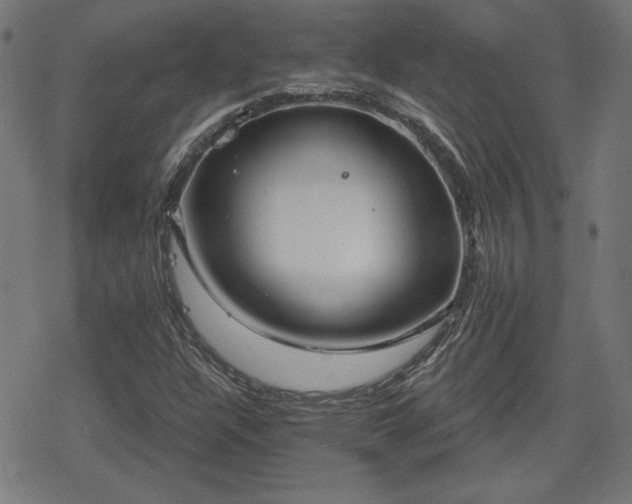 X0000078291304200611101058