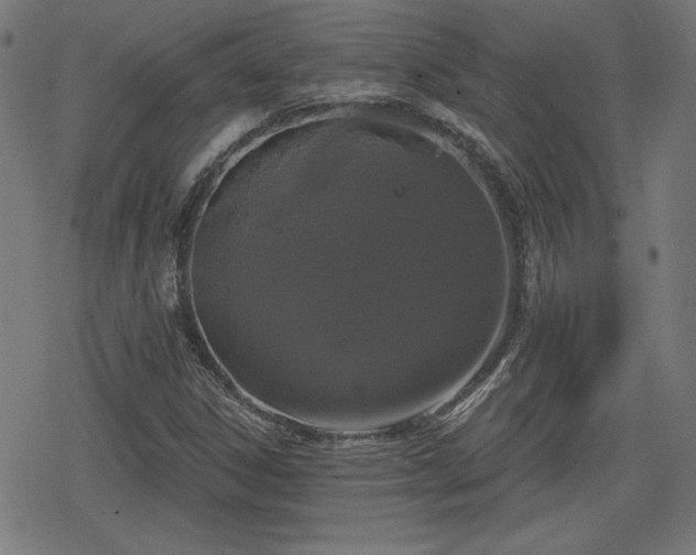 X0000078291306200611101058