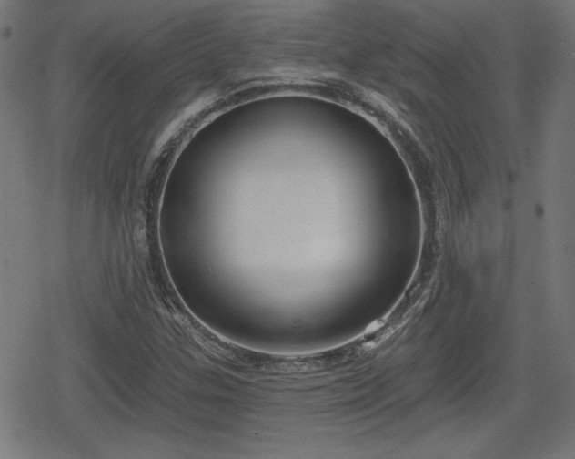 X0000078291307200611101058