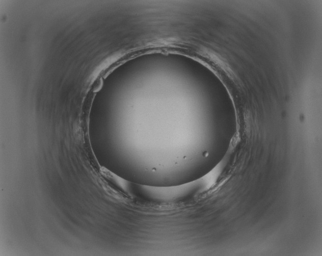 X0000078291308200611101058