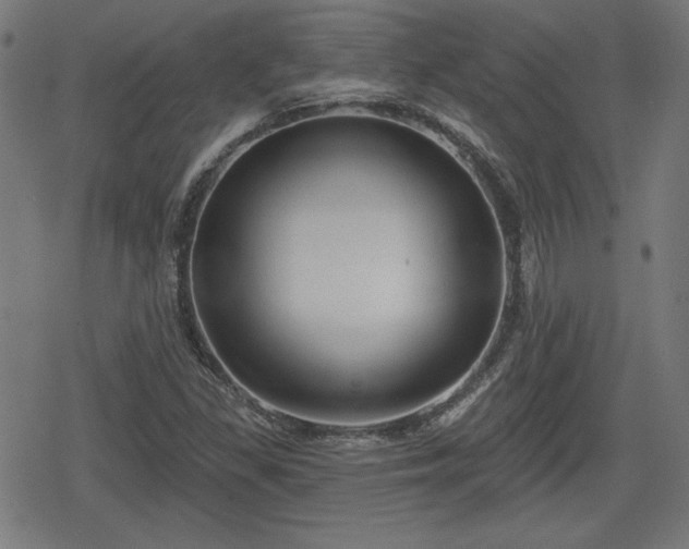 X0000078291309200611101058