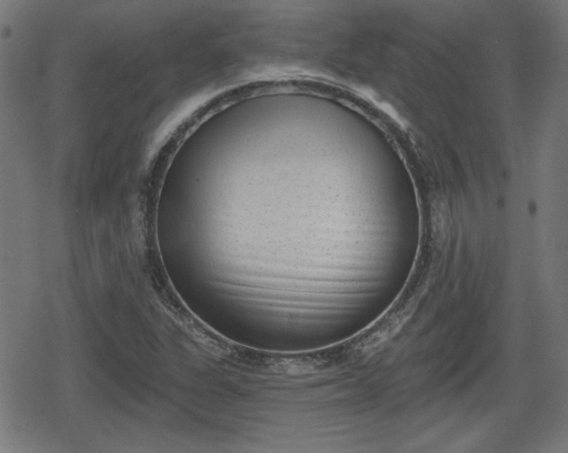 X0000078291311200611101058