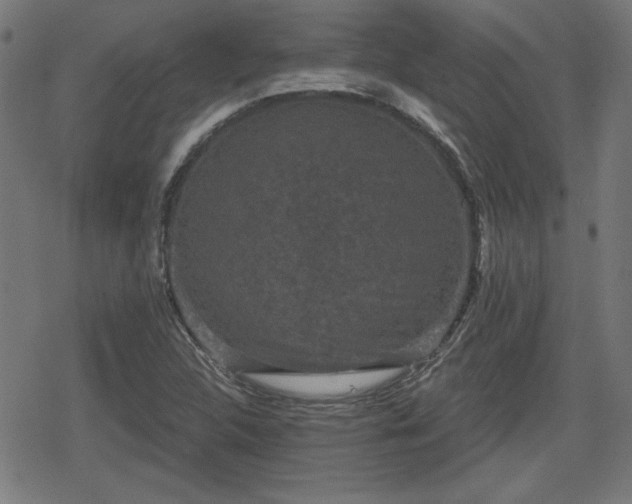 X0000078291312200611101058