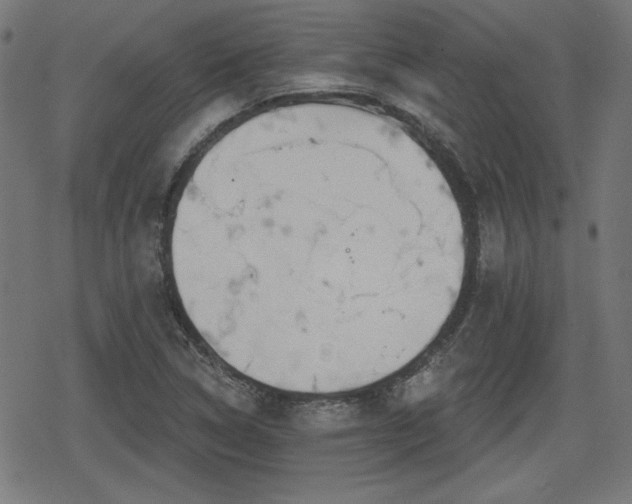 X0000078291314200611101058