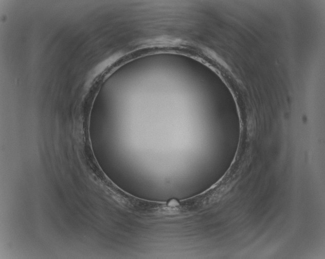 X0000078291315200611101058