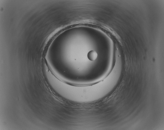 X0000078291316200611101058