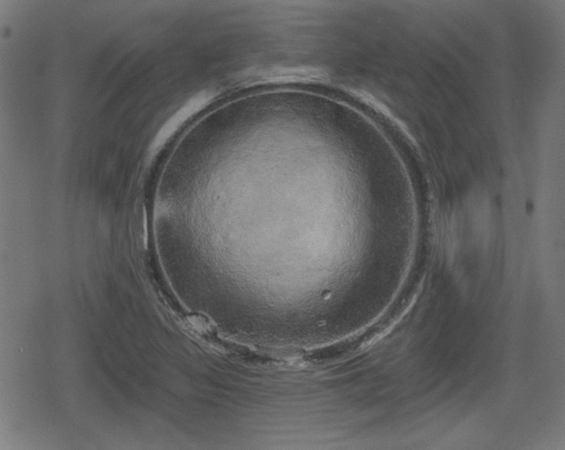 X0000078291317200611101058