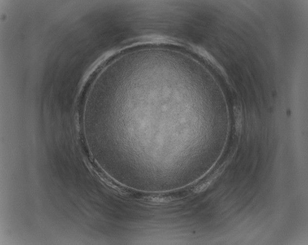 X0000078291318200611101058