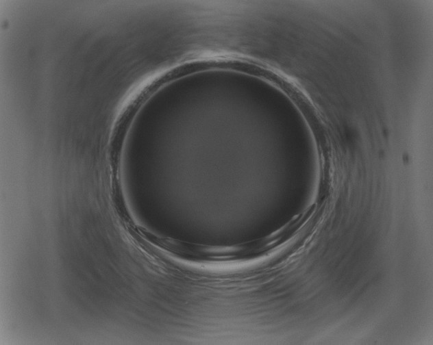 X0000078291319200611101058