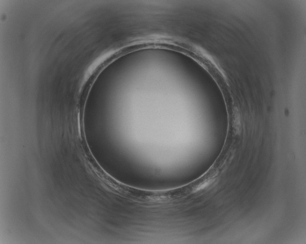 X0000078291320200611101058