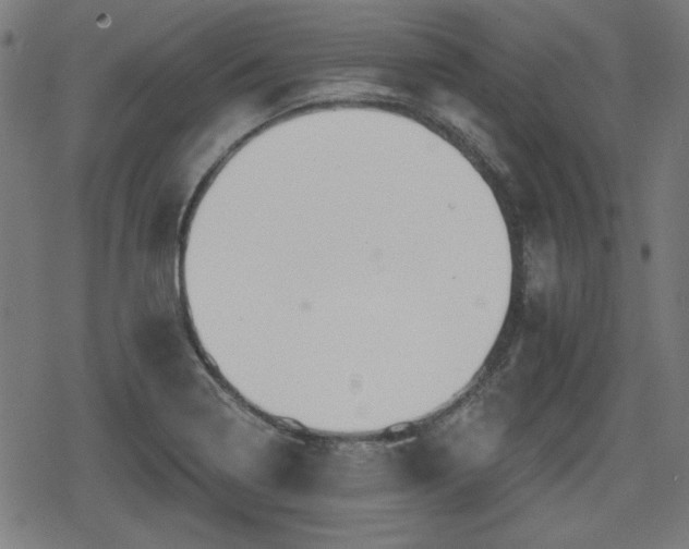 X0000078291322200611101058