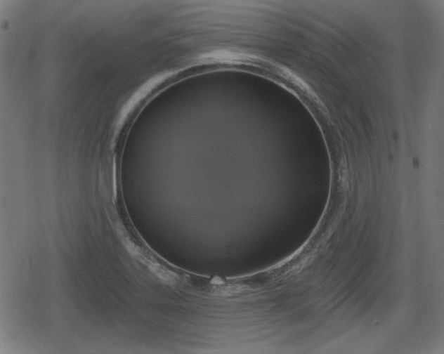 X0000078291323200611101058