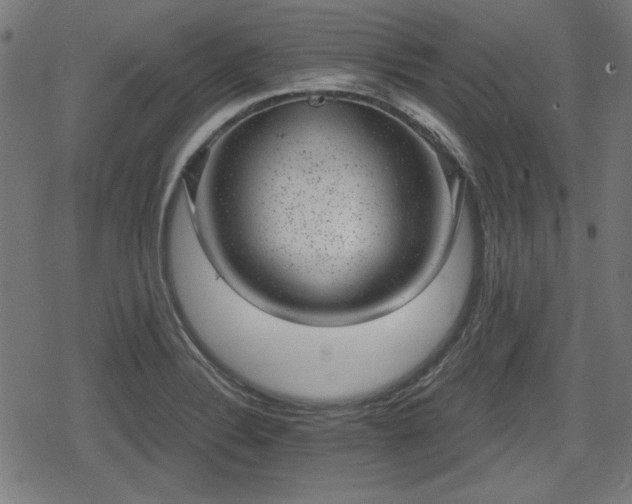 X0000078291324200611101058