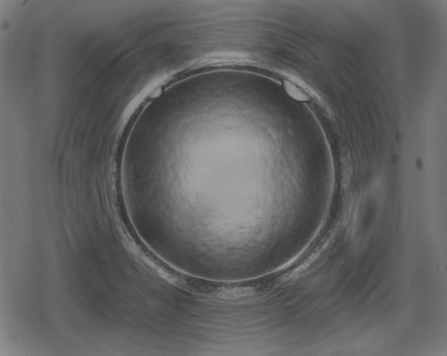 X0000078291325200611101058