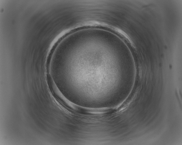 X0000078291326200611101058