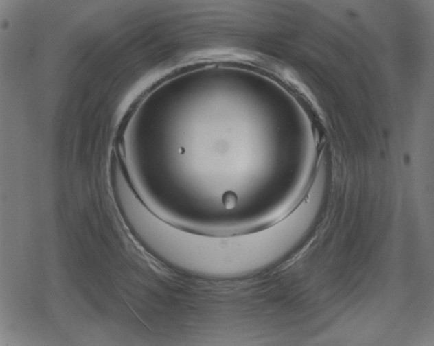 X0000078291328200611101058