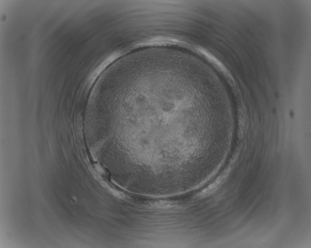 X0000078291329200611101058