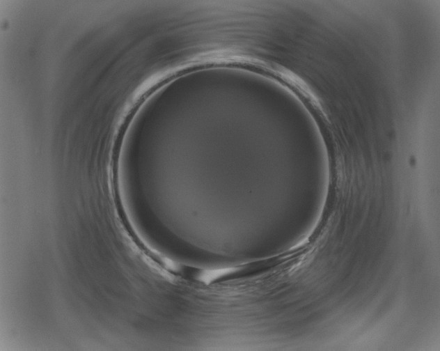 X0000078291334200611101058