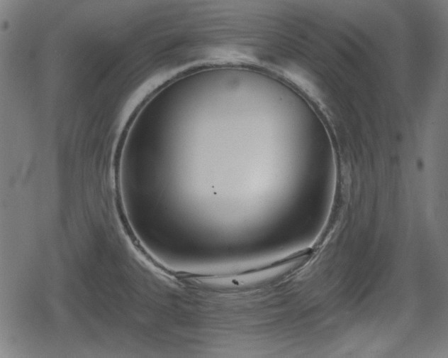 X0000078291335200611101058