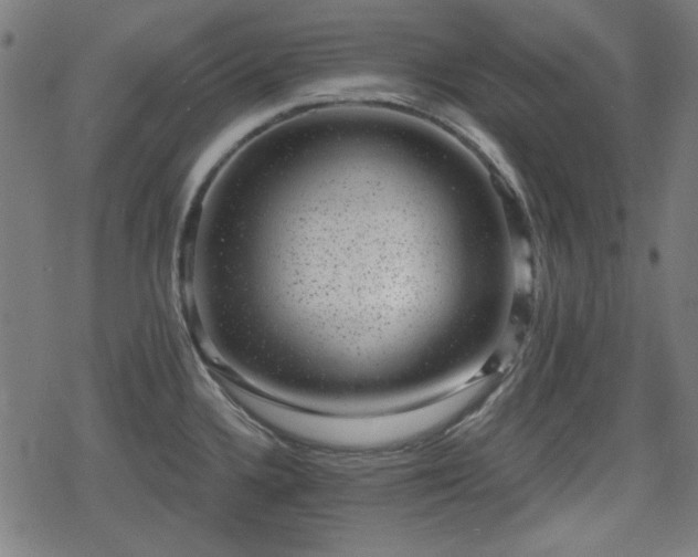 X0000078291336200611101059