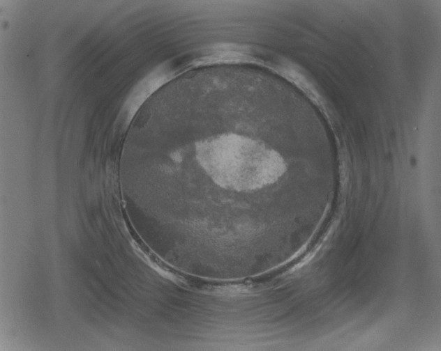 X0000078291337200611101059