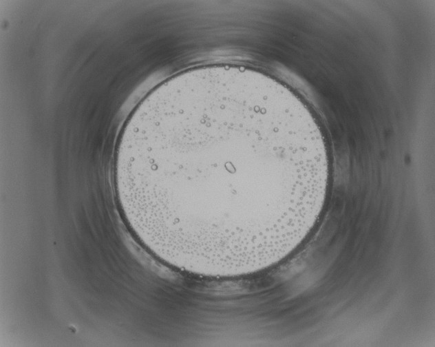 X0000078291338200611101059