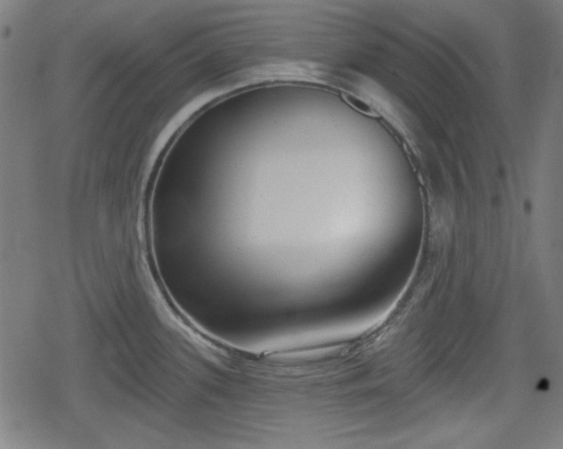 X0000078291339200611101059