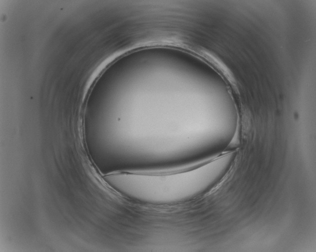 X0000078291340200611101059