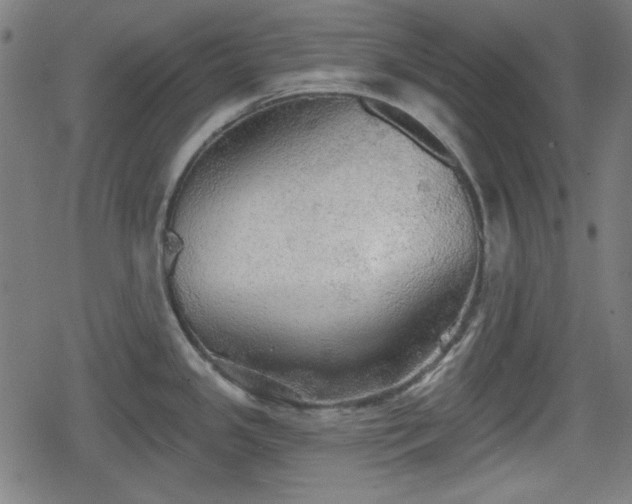 X0000078291341200611101059