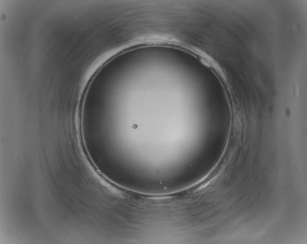 X0000078291343200611101059