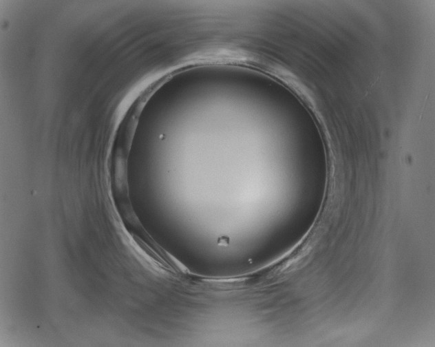 X0000078291344200611101059