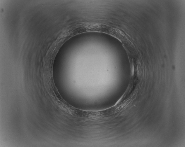 X0000078291345200611101058