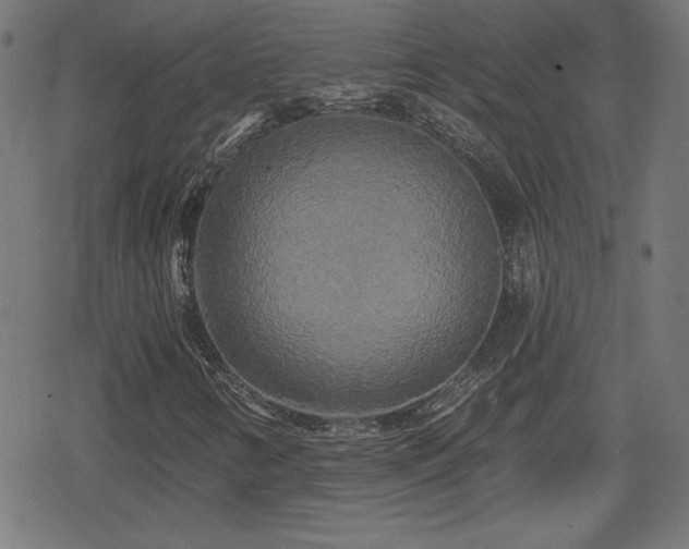 X0000078291346200611101058