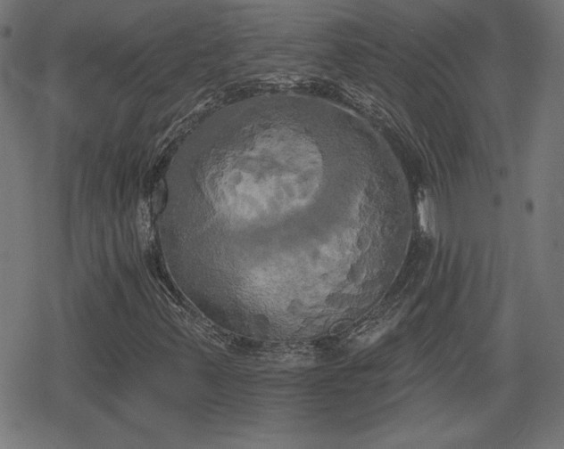 X0000078291347200611101058