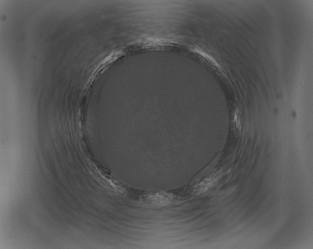 X0000078291348200611101058