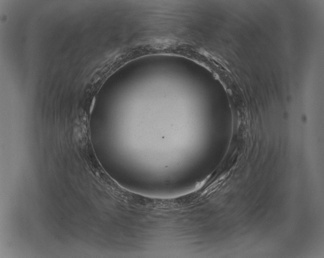 X0000078291349200611101058