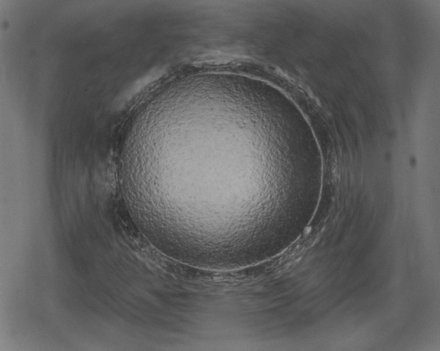 X0000078291350200611101058