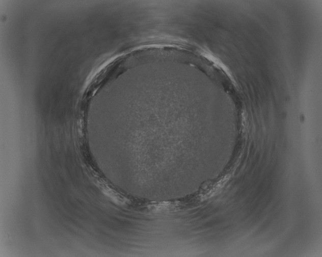 X0000078291352200611101058