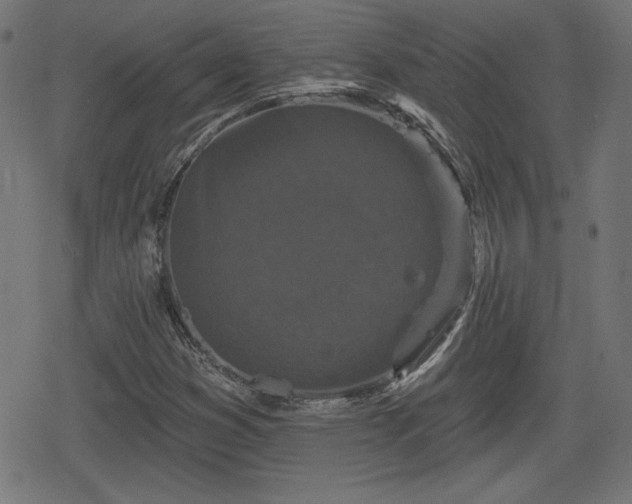 X0000078291353200611101058