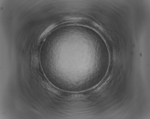 X0000078291354200611101058