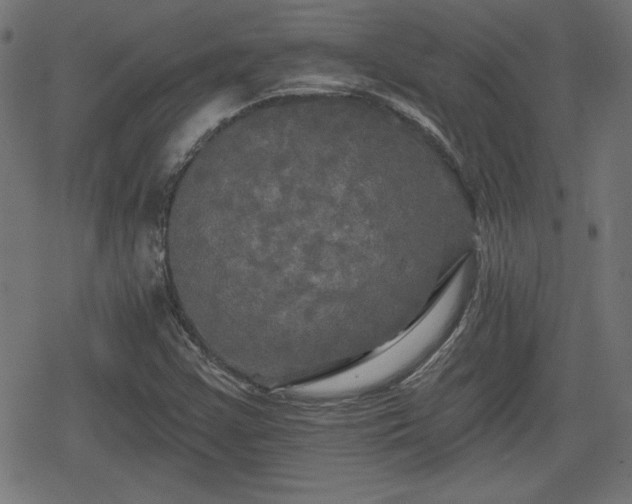 X0000078291355200611101058