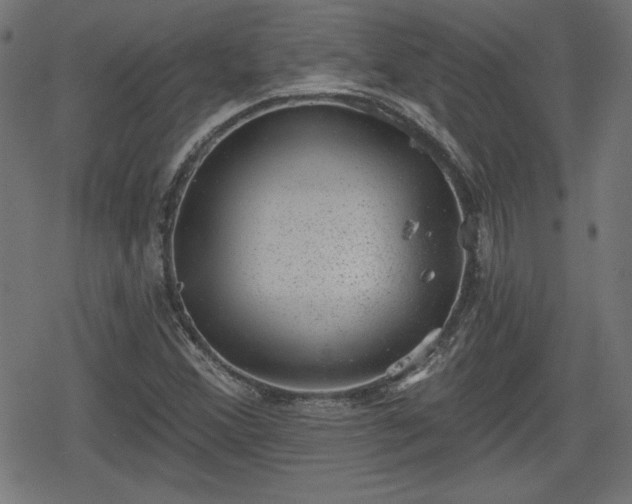 X0000078291356200611101058