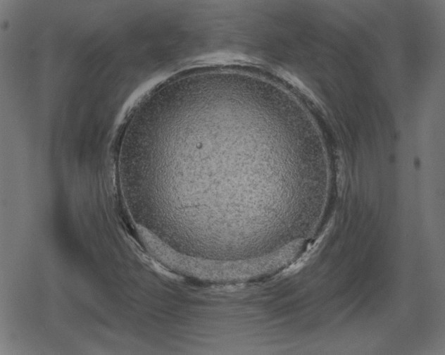 X0000078291358200611101058