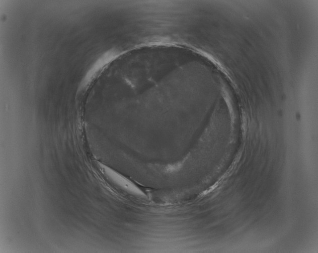 X0000078291359200611101058