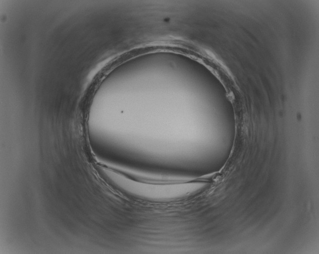 X0000078291360200611101058