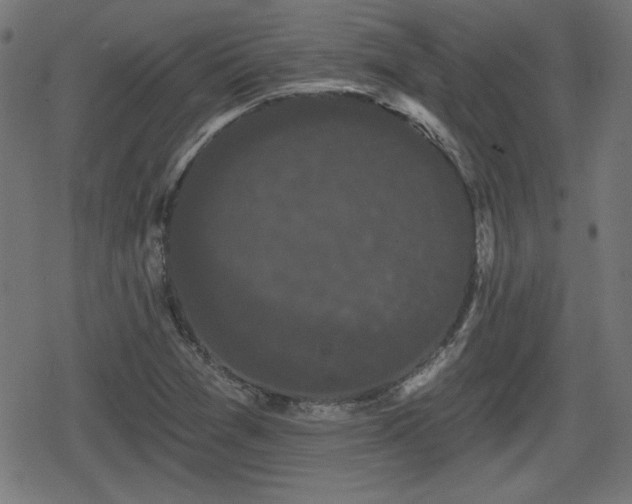 X0000078291361200611101058