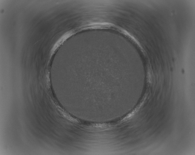 X0000078291362200611101058