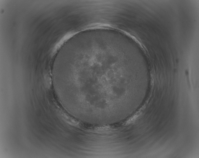 X0000078291363200611101058