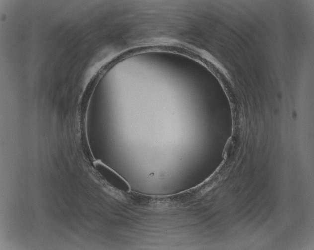 X0000078291364200611101058