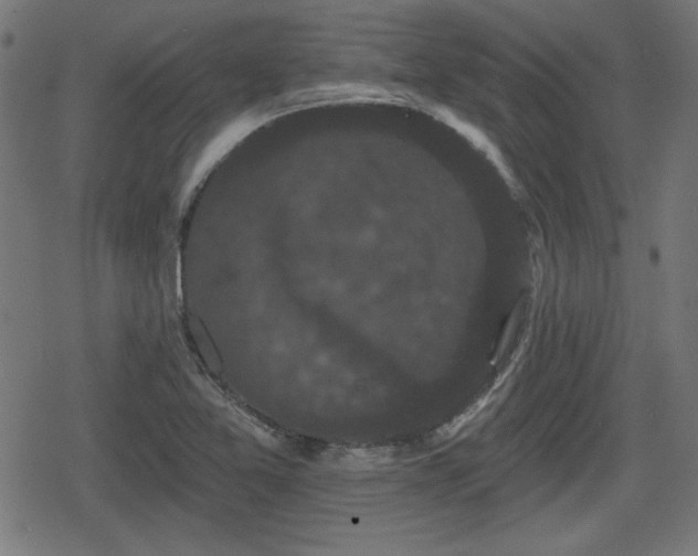 X0000078291365200611101058